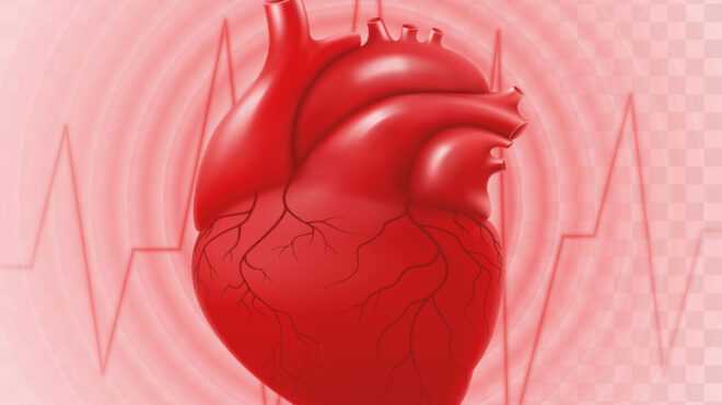 ιός-δυτικού-νείλου-επτά-θάνατοι-και-87-κ-563815771