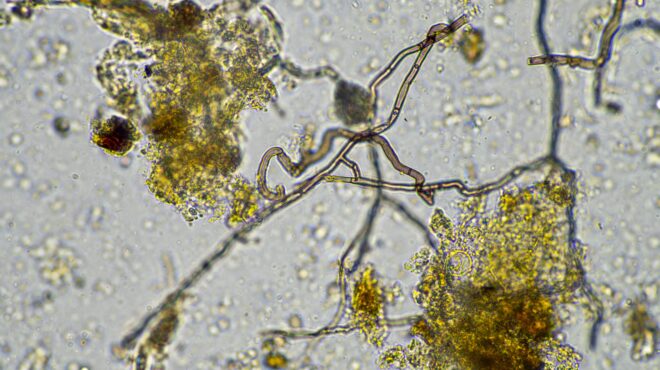 ινδία-συναγερμός-στις-αρχές-για-την-ε-563819998