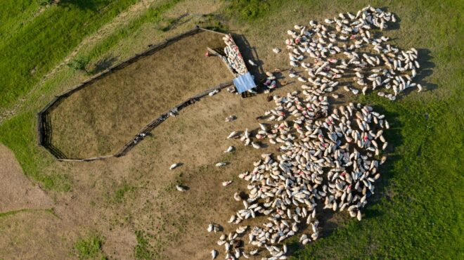 οι-εκατομμυριούχοι-του-οπεκεπε-τα-563792467