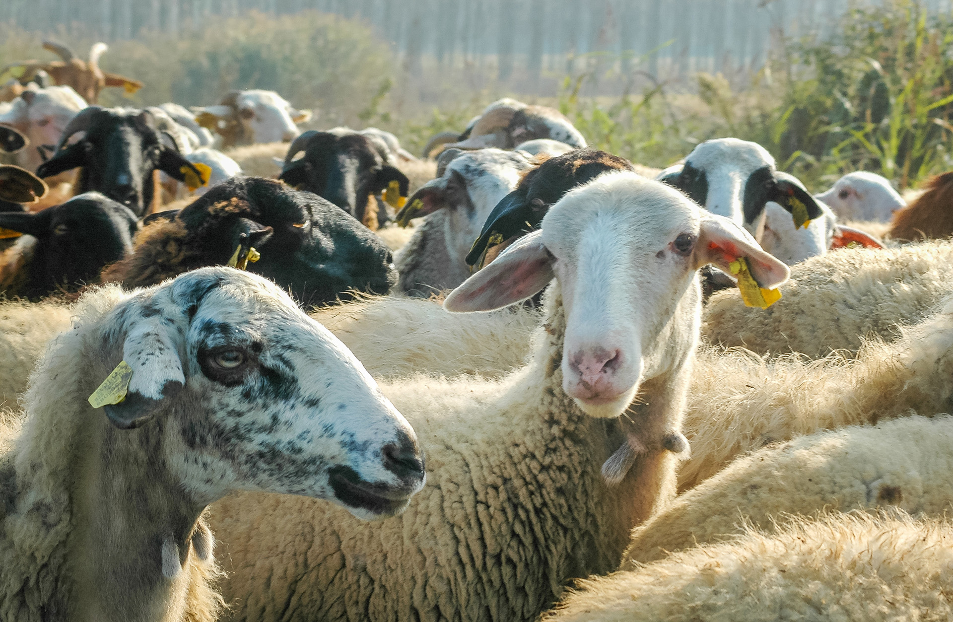 σε-15ετή-αδράνεια-το-εργαλείο-για-την-563822839