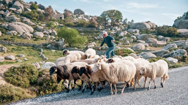 ανθρώπων-εργα-ένα-φωτογραφικό-λεύκωμ-563791957