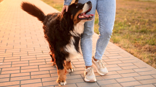 γιατί-πρέπει-να-περπατάμε-ακόμα-και-έ-563829517