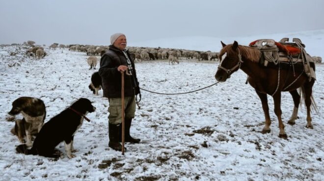 γρεβενά-εγκλωβισμένοι-οι-κτηνοτρόφο-563850406