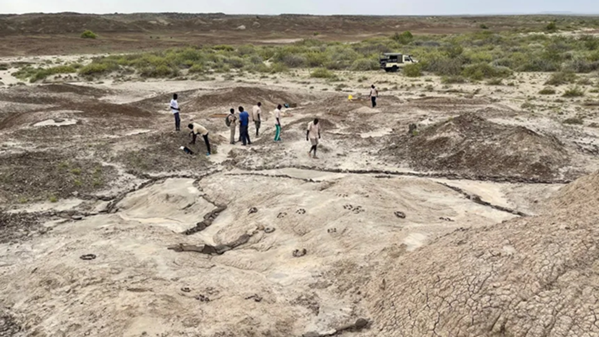 Το μυστικό της απολιθωμένης παλάμης-1