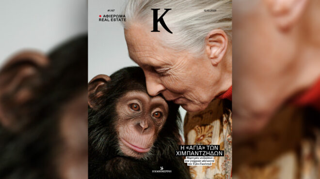 η-τζέιν-γκούντολ-ο-λούκα-γκουαντανίνο-563857996