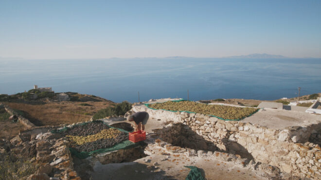 h-πρωτοβουλία-cycladic-identity-διοργανώνει-ημερίδα-563889493