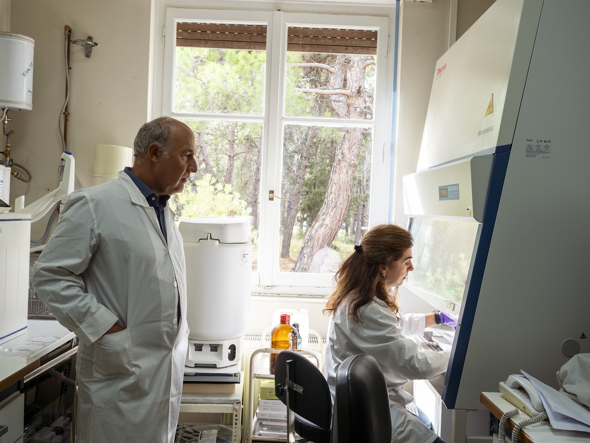 Ευλογιά αιγοπροβάτων: Πολεμώντας μια άλλη πανδημία-2