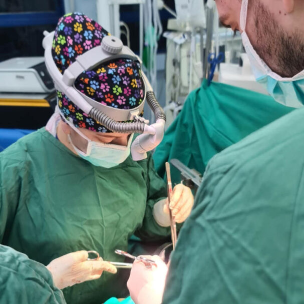 η-ελληνίδα-που-κατέκτησε-μια-ακόμη-κορ-563895724