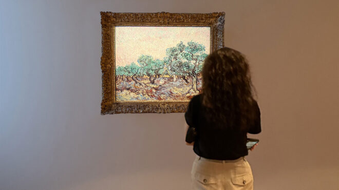 σκιά-στις-ρίζες-του-ελαιώνα-563893864