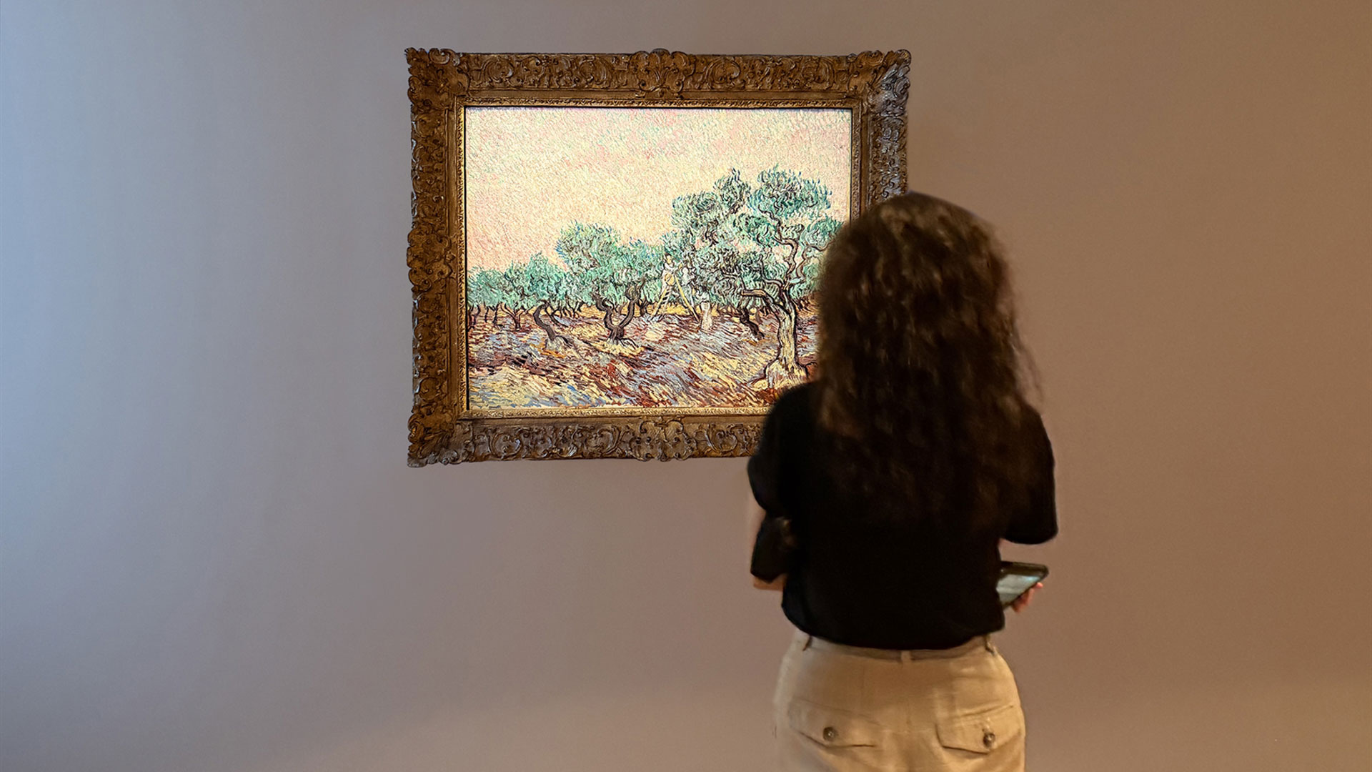 σκιά-στις-ρίζες-του-ελαιώνα-563893864