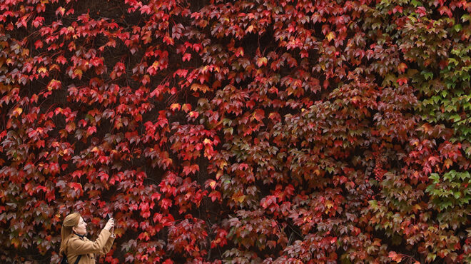 φθινόπωρο-για-φωτογραφία-563860537