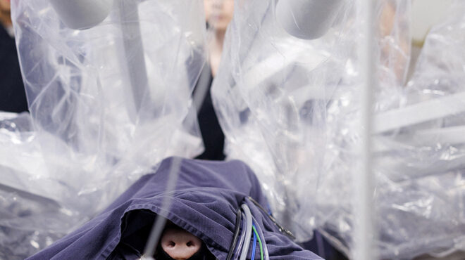 ενα-γουρουνάκι-για-δοκιμή-563877838