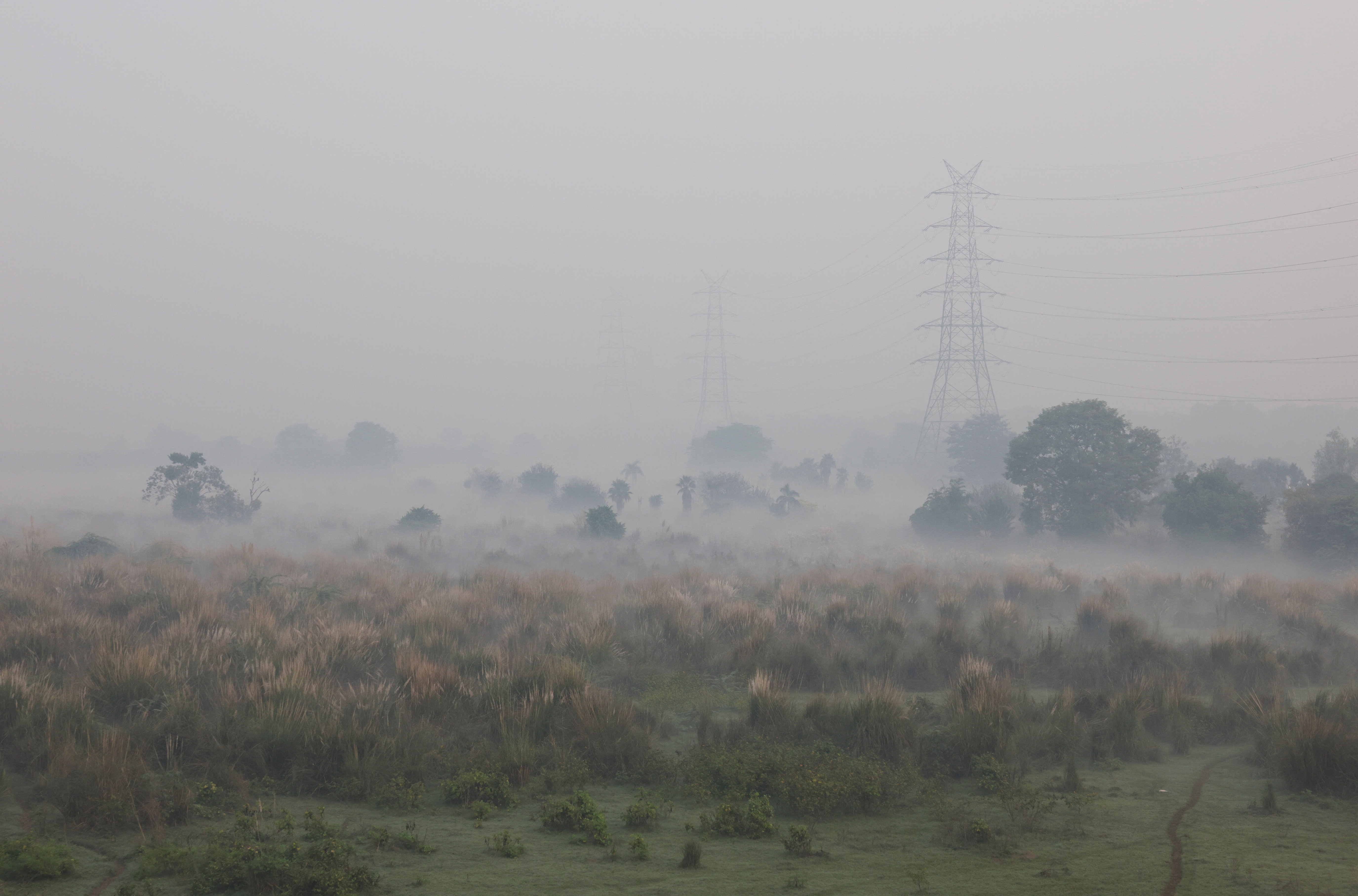 Τοξικό νέφος κάλυψε το Νέο Δελχί λόγω των κροτίδων ινδουιστικού φεστιβάλ-2