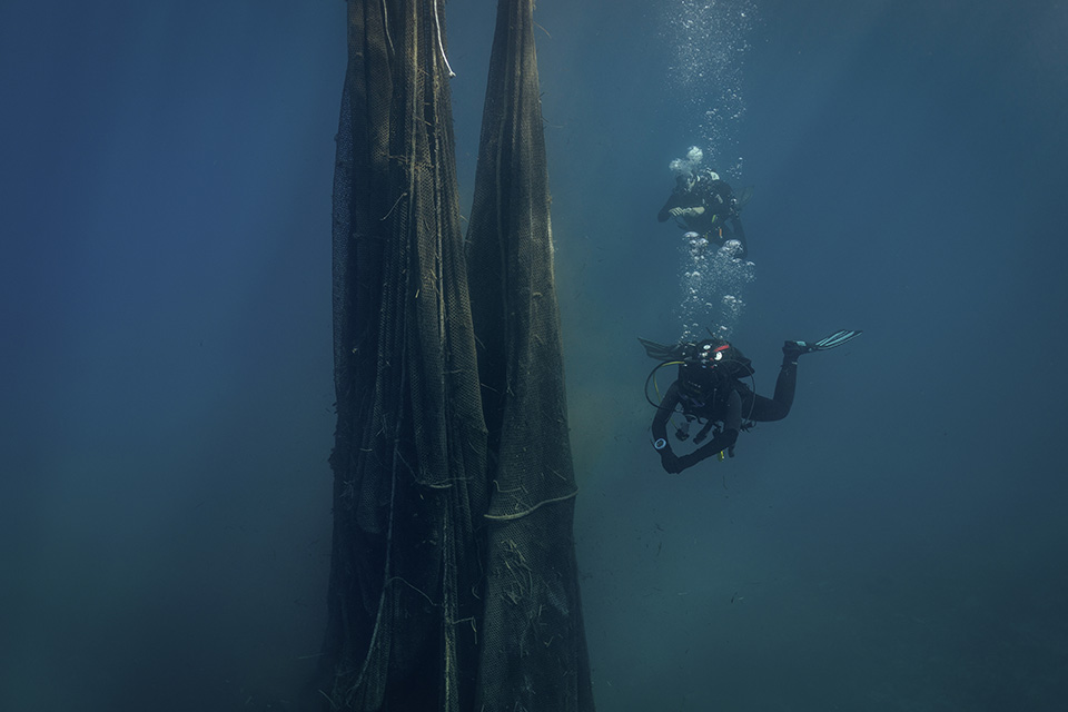 Αναπαράσταση-3