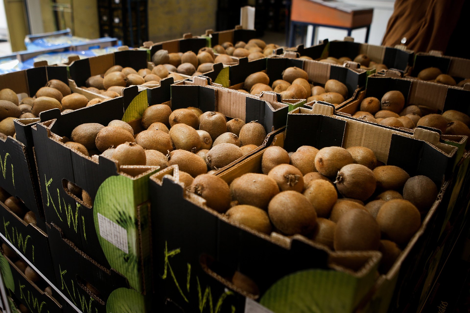 «Αντί να δώσουν μεγαλύτερη βοήθεια, μας ζητούν πίσω χρήματα»-2