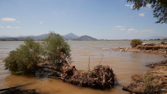 δικαίωση-θυμάτων-στην-αγωγή-κατά-δημο-563856037