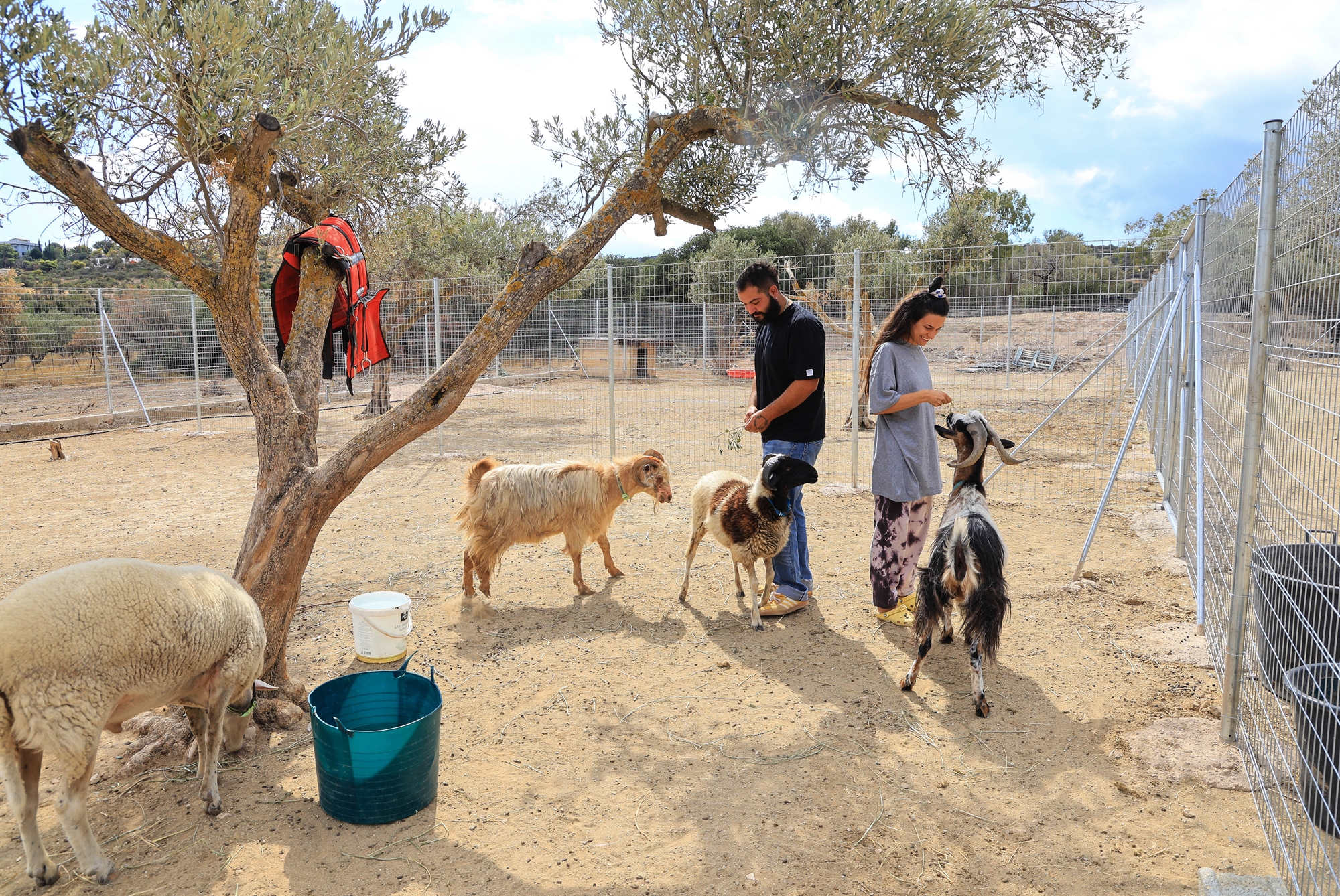 Στο «ντιβάνι» των τετράποδων θεραπευτών-2