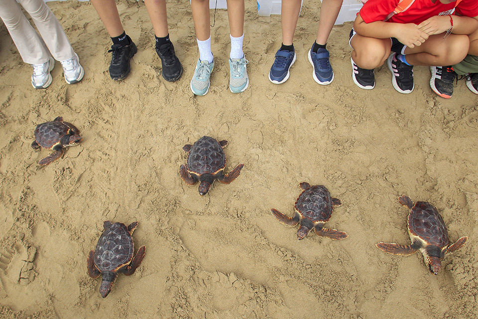 Ο ορισμός του φθινοπώρου-3