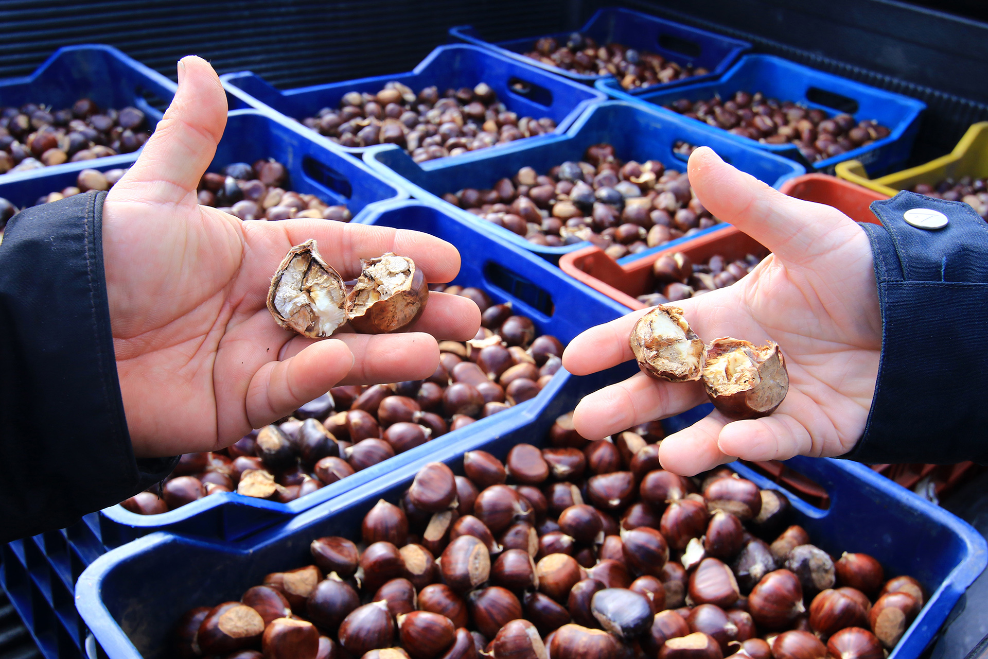 «Αντί να δώσουν μεγαλύτερη βοήθεια, μας ζητούν πίσω χρήματα»-1