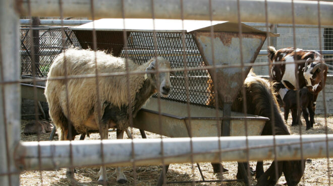 εξαντλούνται-τα-αποθέματα-γάλακτος-563879170
