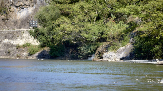 προστασία-του-αώου-με-δράσεις-εντός-κα-563843467