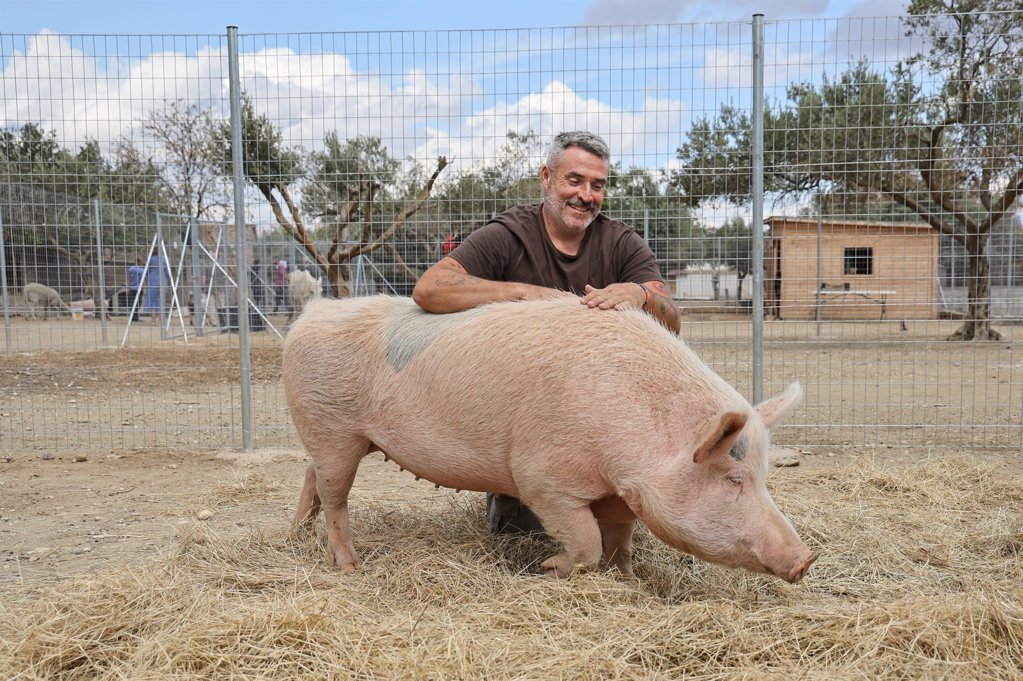 Στο «ντιβάνι» των τετράποδων θεραπευτών-1