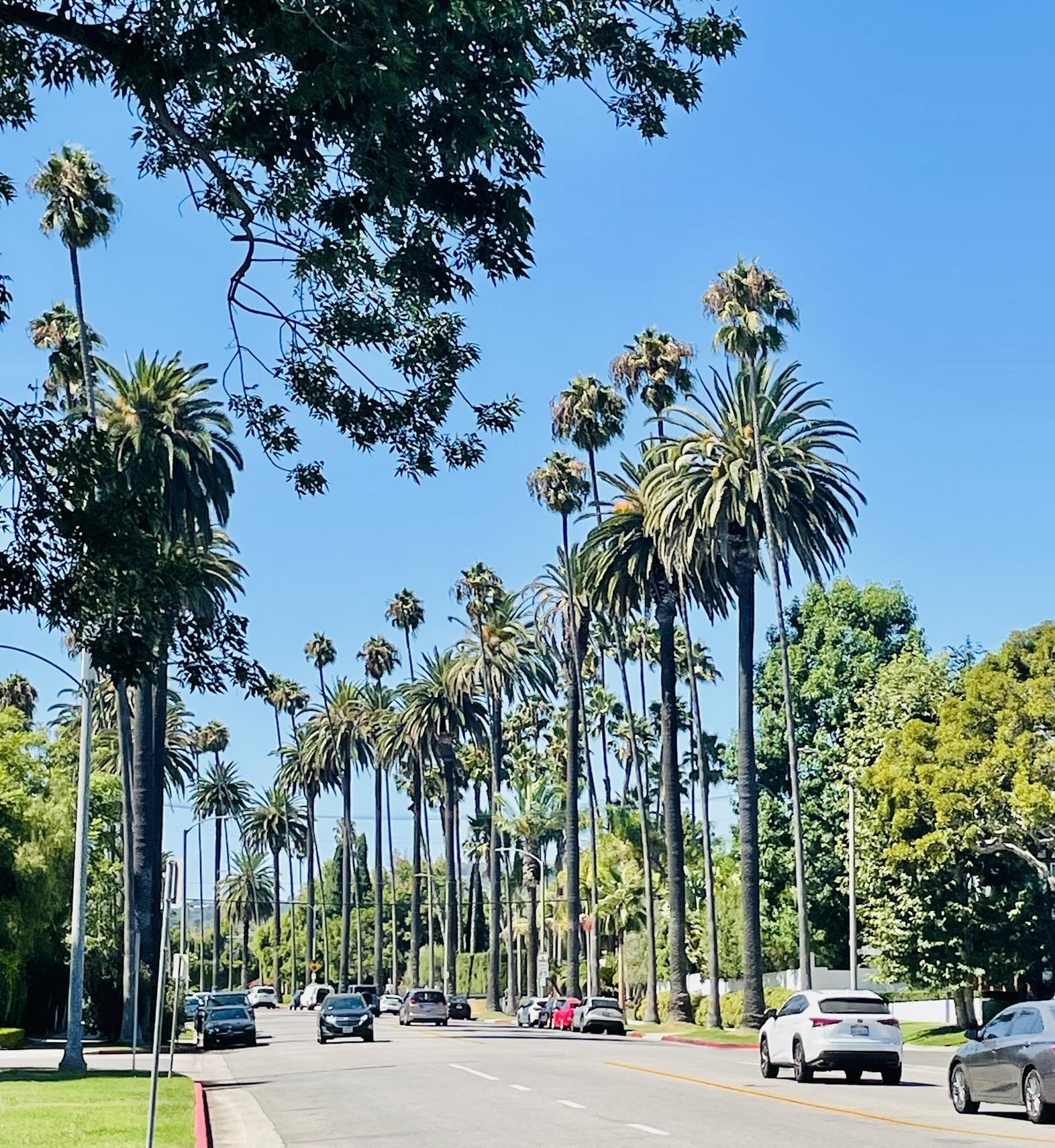 Δώδεκα μέρες και 3.500 χλμ. σε μια ακαταμάχητη γωνιά της Αμερικής-7