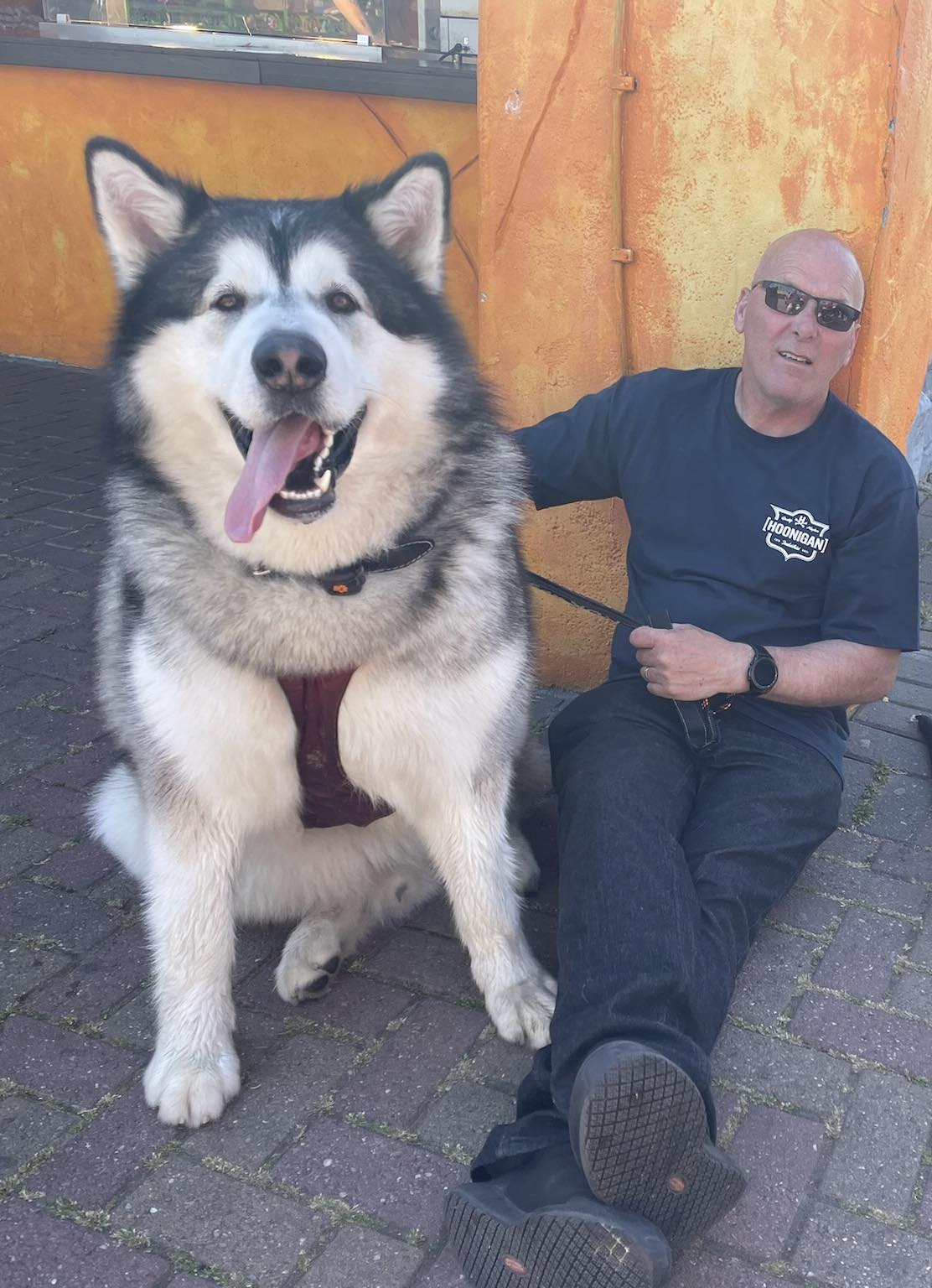 «Ενας αθώος γίγαντας»: Η ζωή με έναν σκύλο 82 κιλών-1