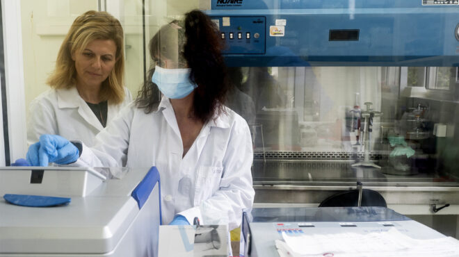 ευλογιά-αιγοπροβάτων-πολεμώντας-μια-563888710