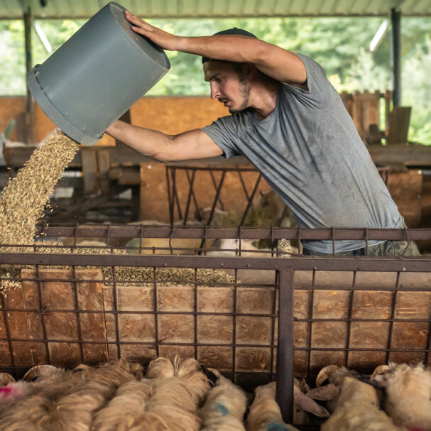 εν-αναμονή-κινητοποιήσεων-οι-αγρότες-563891257
