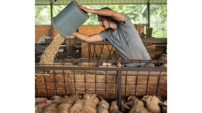 εν-αναμονή-κινητοποιήσεων-οι-αγρότες-563891257