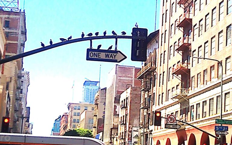 Δώδεκα μέρες και 3.500 χλμ. σε μια ακαταμάχητη γωνιά της Αμερικής-14