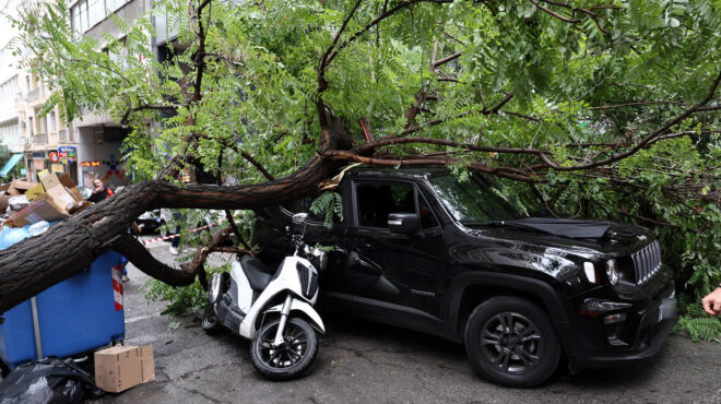 στα-λευκά-από-νωρίς-φέτος-563846896