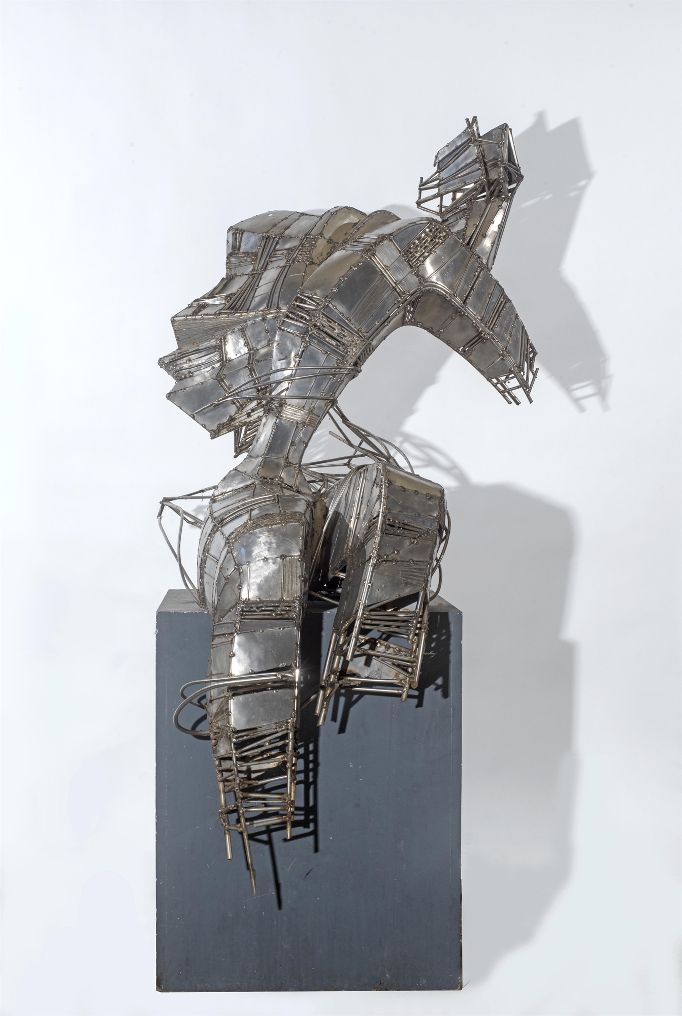 Ρίζες στα ηπειρώτικα χώματα-1