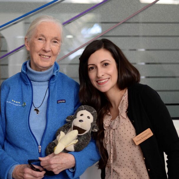 h-τζέιν-γκούντολ-που-γνώρισα-563847895