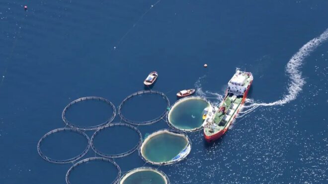 η-βελτιωμένη-προσφορά-της-cooke-αλλάζει-τα-563874286