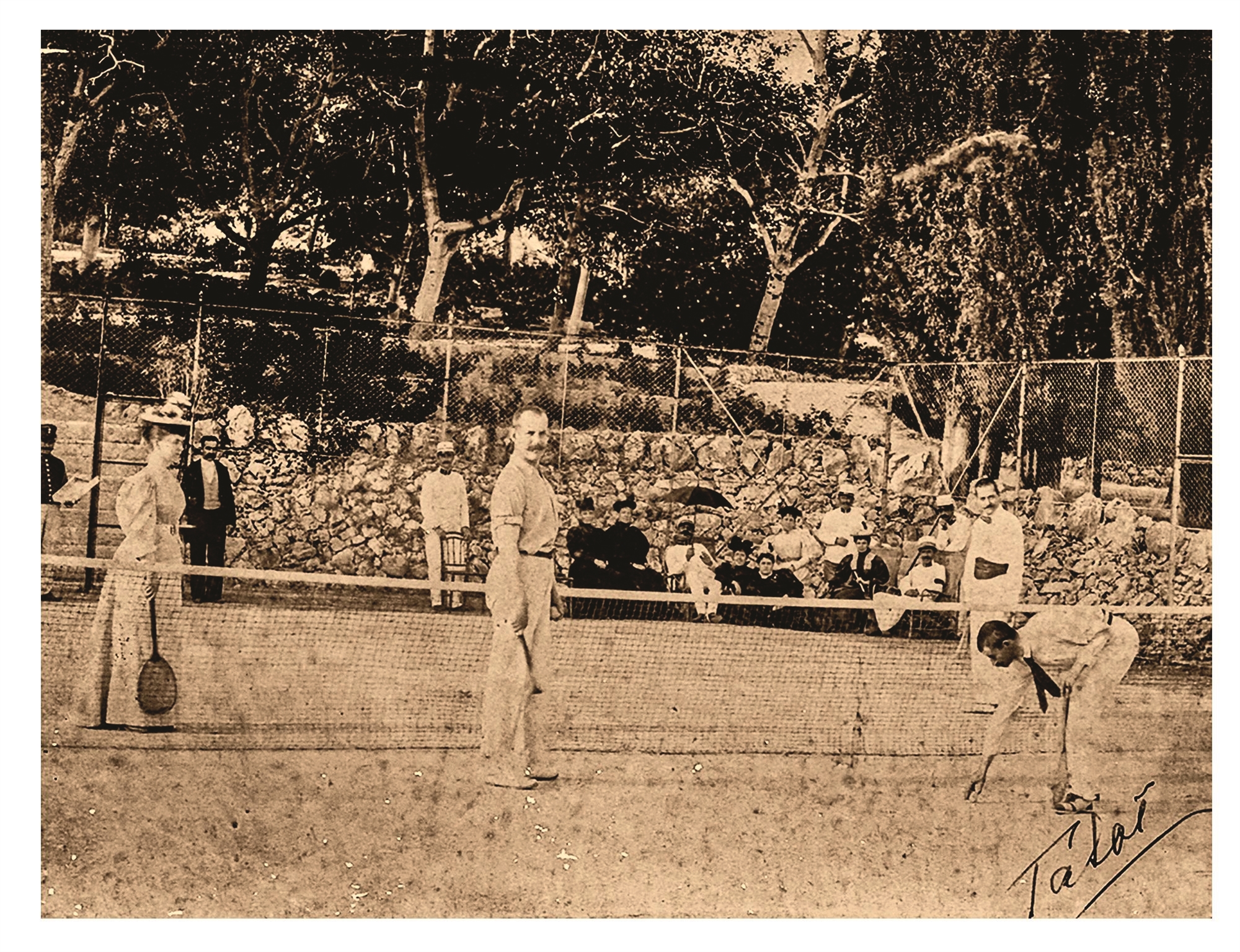 Τα πρωτοβρόχια αναζωογονούν το Τατόι, που σταδιακά φοράει ξανά τη γνώριμη πράσινη στολή του-2