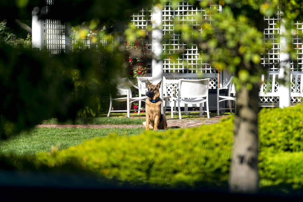 Ανατολική Πτέρυγα: Εικόνες νοσταλγίας από ένα κτίριο που δεν υπάρχει πια-7