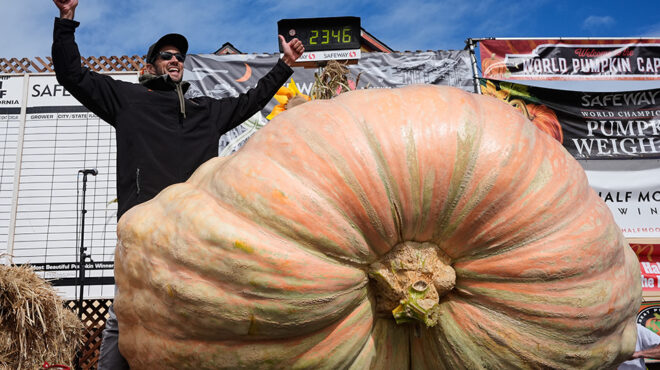 τα-κατάφερε-563866603