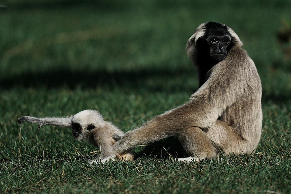 Πόση ζωή για να φτιάξει η οικονομία;-3