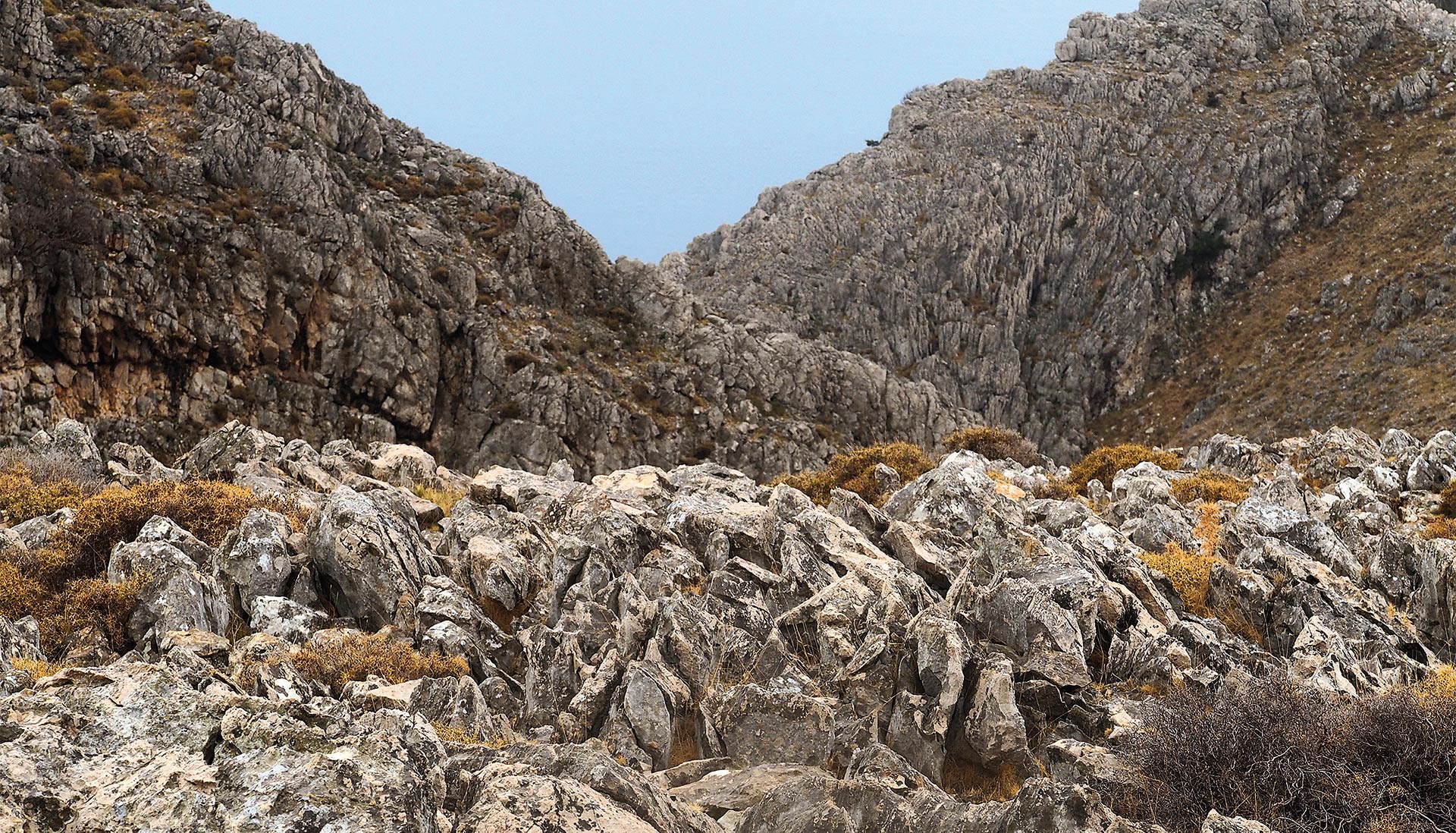 Χίος: Η τελευταία τσοπάνισσα του Αίπους-2