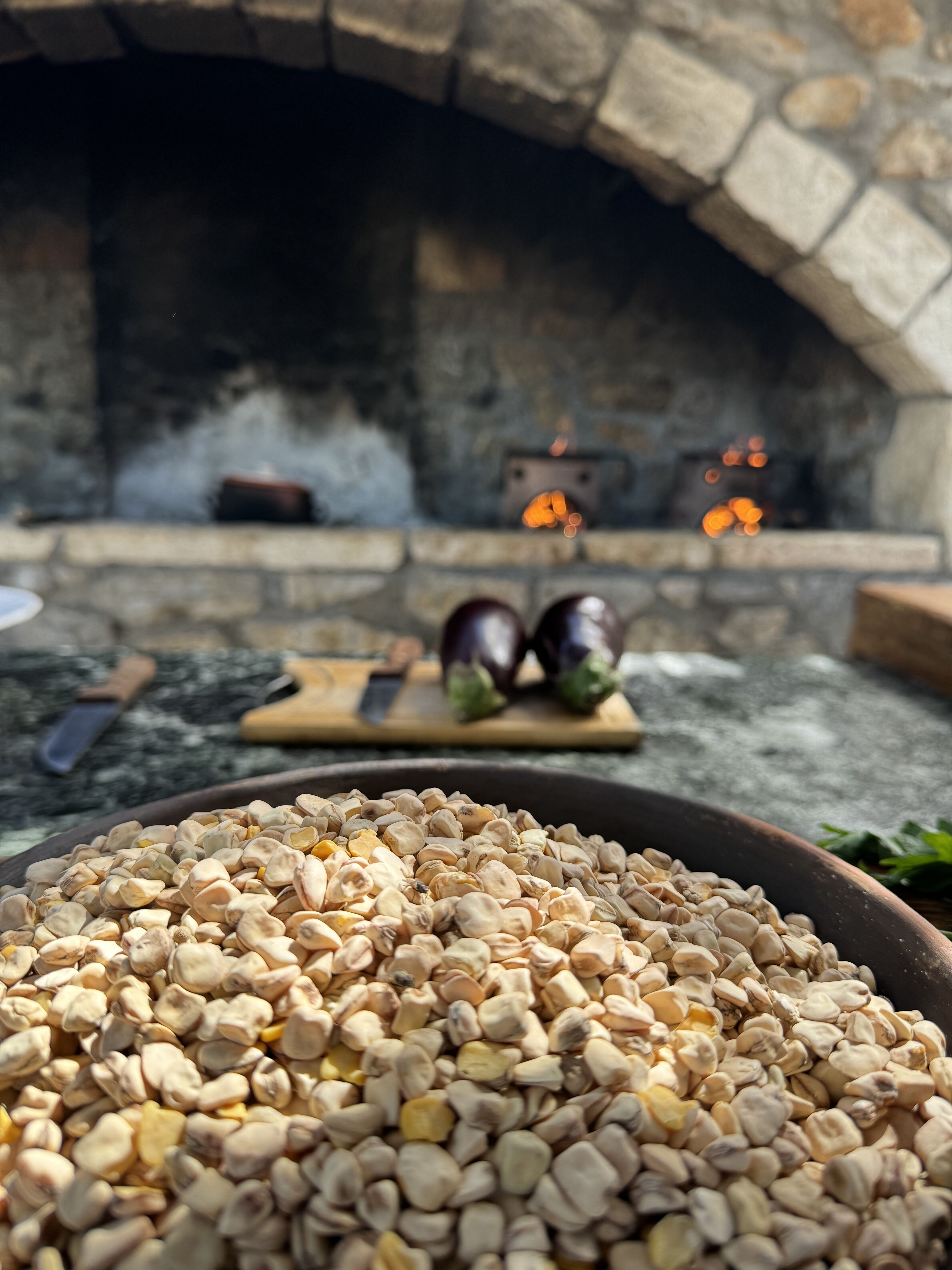 Μαναρόλια: Ο σπάνιος σπόρος της Κρήτης που έφτασε στη Βαρκελώνη-2