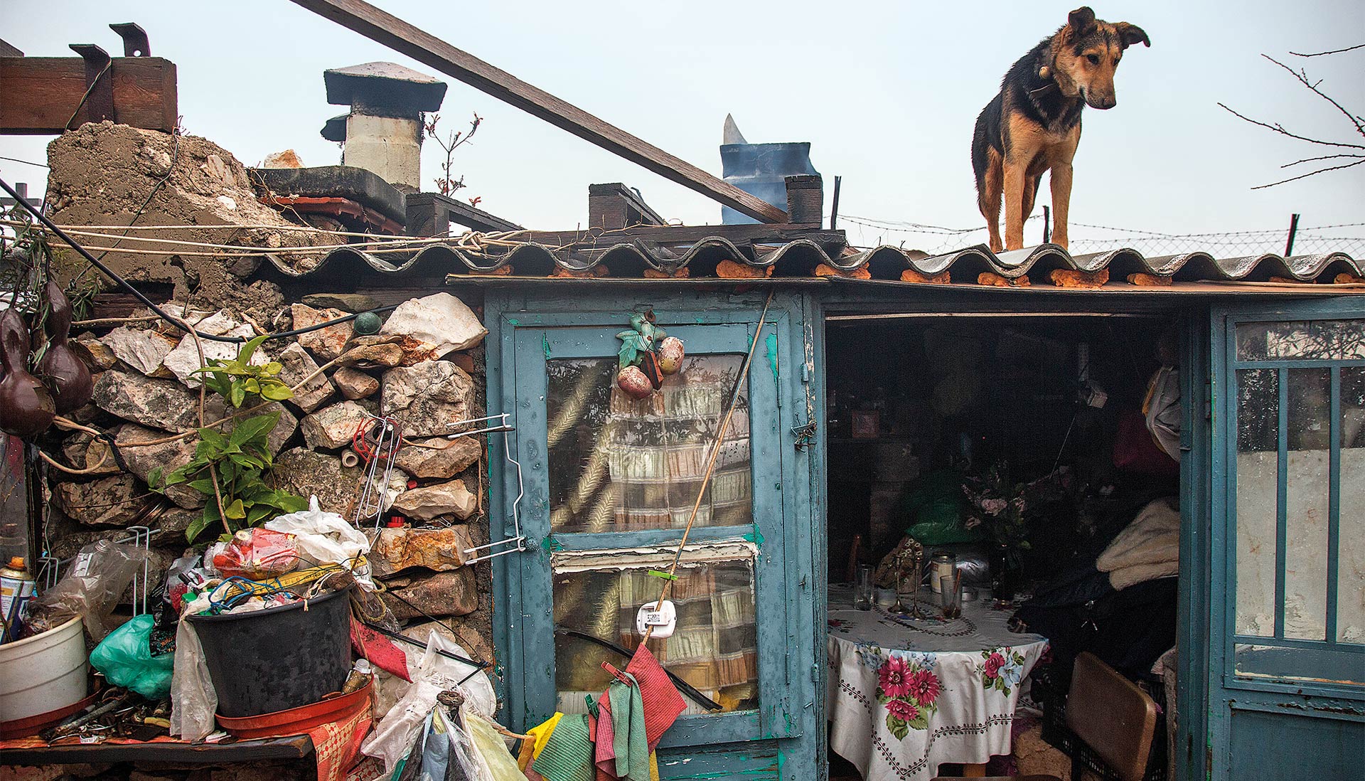 Χίος: Η τελευταία τσοπάνισσα του Αίπους-4