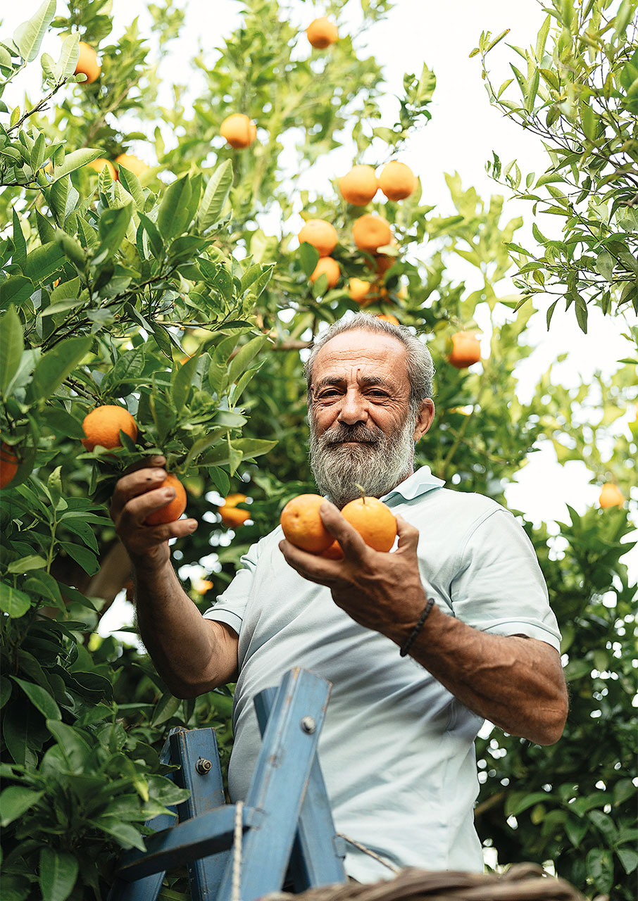 Χίος: Η νέα ζωή του Κάμπου-3