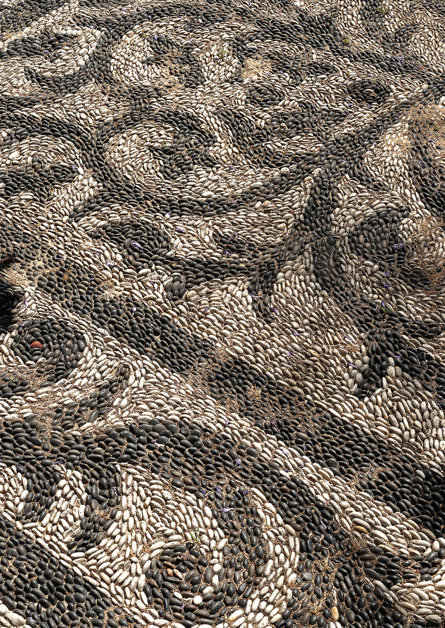 Χίος: Η νέα ζωή του Κάμπου-5