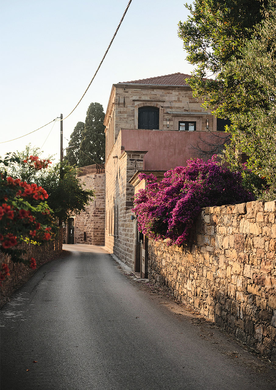 Χίος: Η νέα ζωή του Κάμπου-2