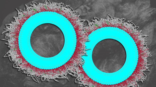 μιτ-ερευνητές-ανέπτυξαν-νανοσωματίδ-563896105
