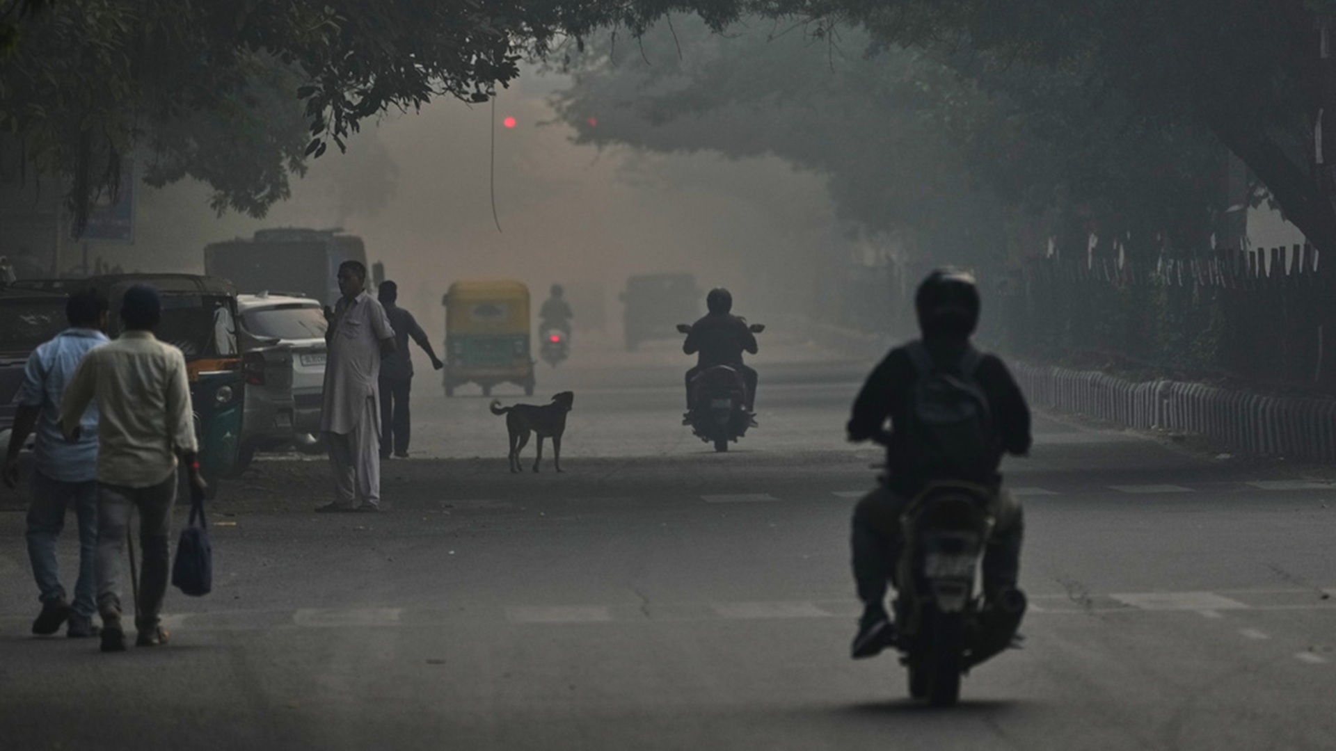Ινδία: Πυκνό νέφος τύλιξε το Νέο Δελχί εξαιτίας βεγγαλικών [εικόνες]-2