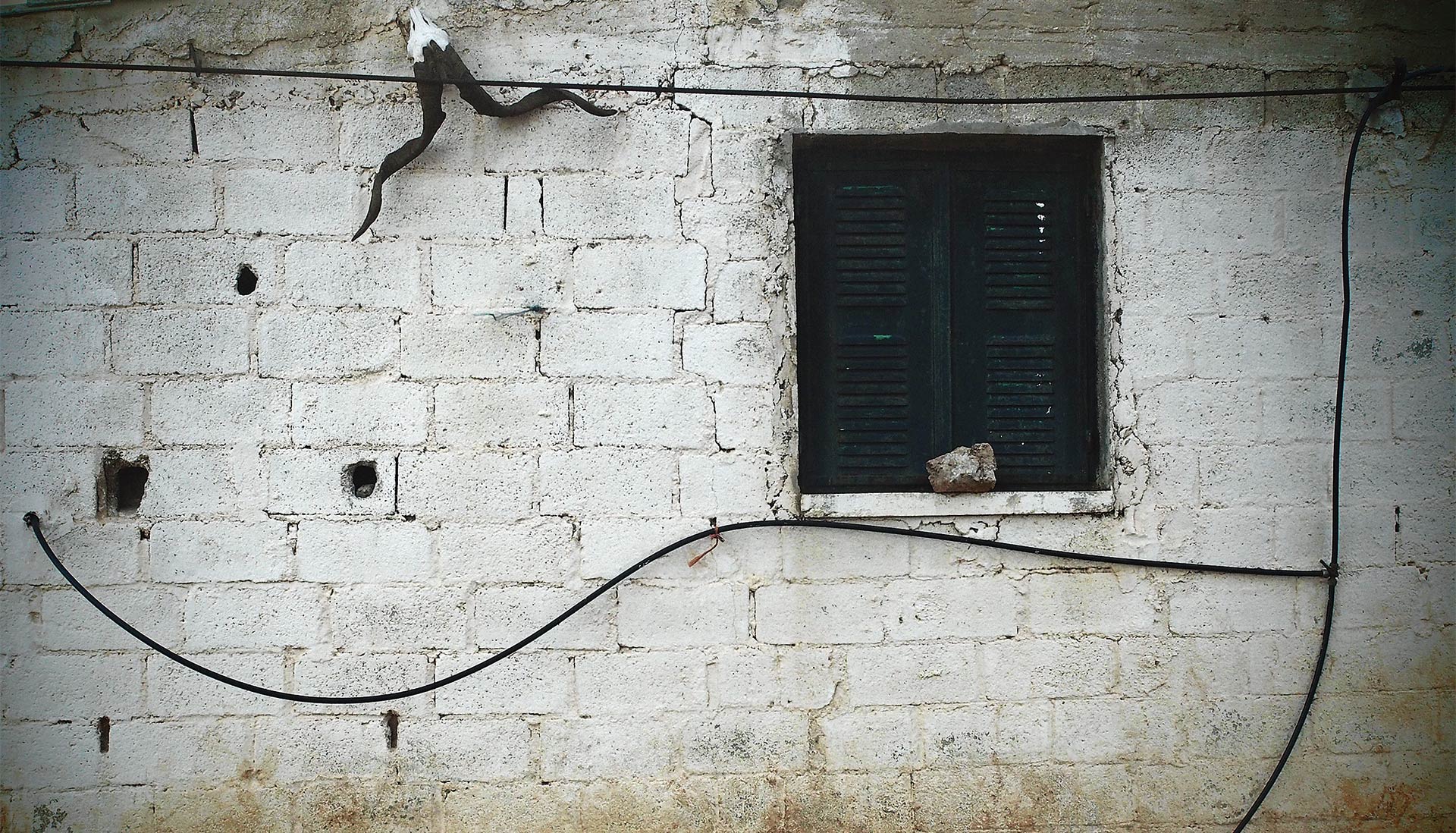 Χίος: Η τελευταία τσοπάνισσα του Αίπους-5