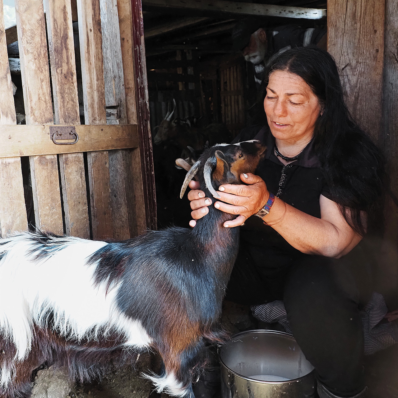 χίος-η-τελευταία-τσοπάνισσα-του-αίπου-563867968